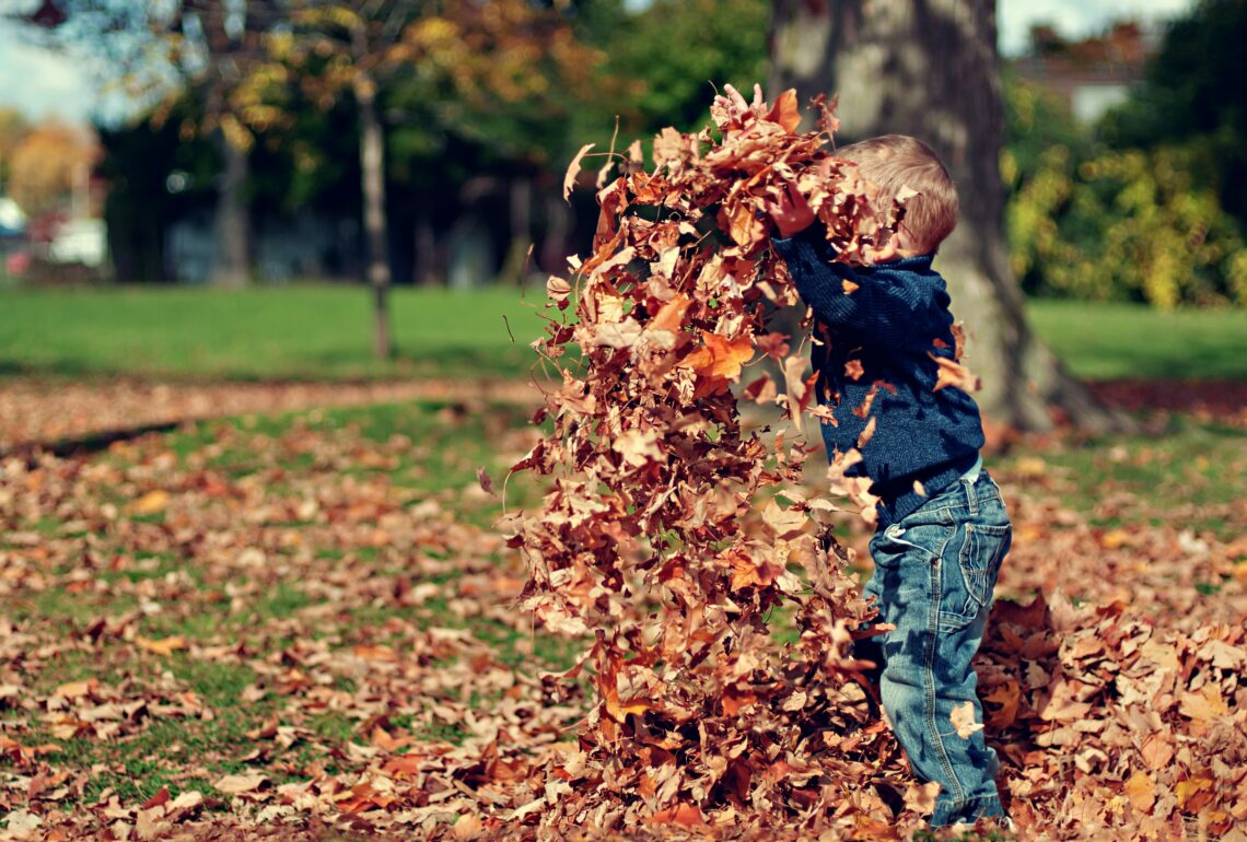 10 Free and Easy Fall Activities for the Whole Family
