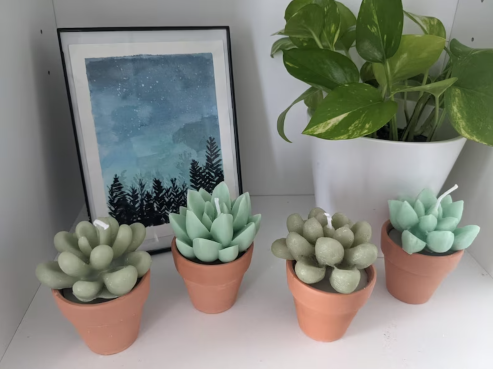 Succulent Candle with Terracotta Pot