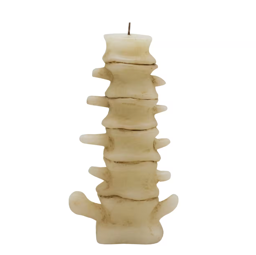 Skeleton Spine Wax Candle