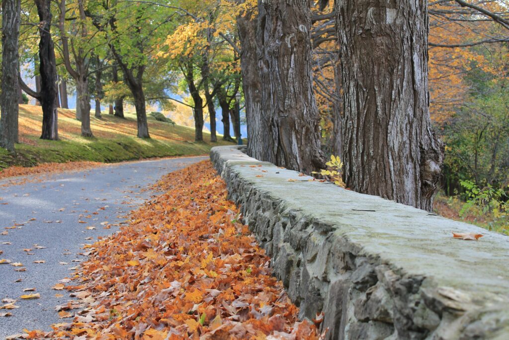 Route 100, Vermont