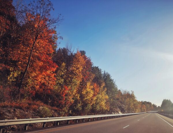 Five Beautiful East Coast Road Trips for the Whole Family to See Fall Leaves