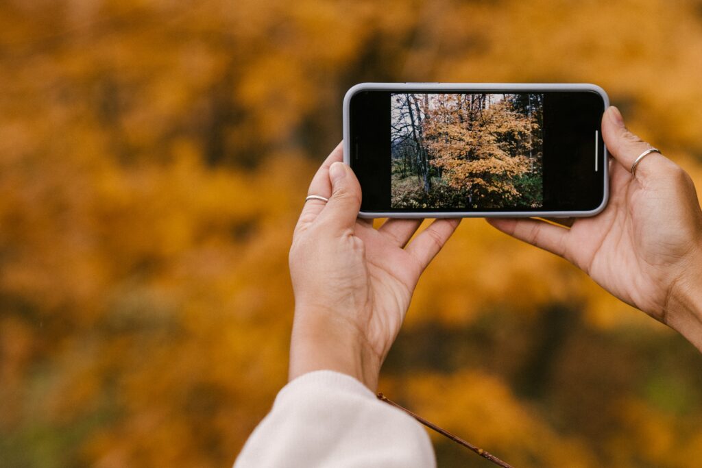 Planning to go leaf peeping