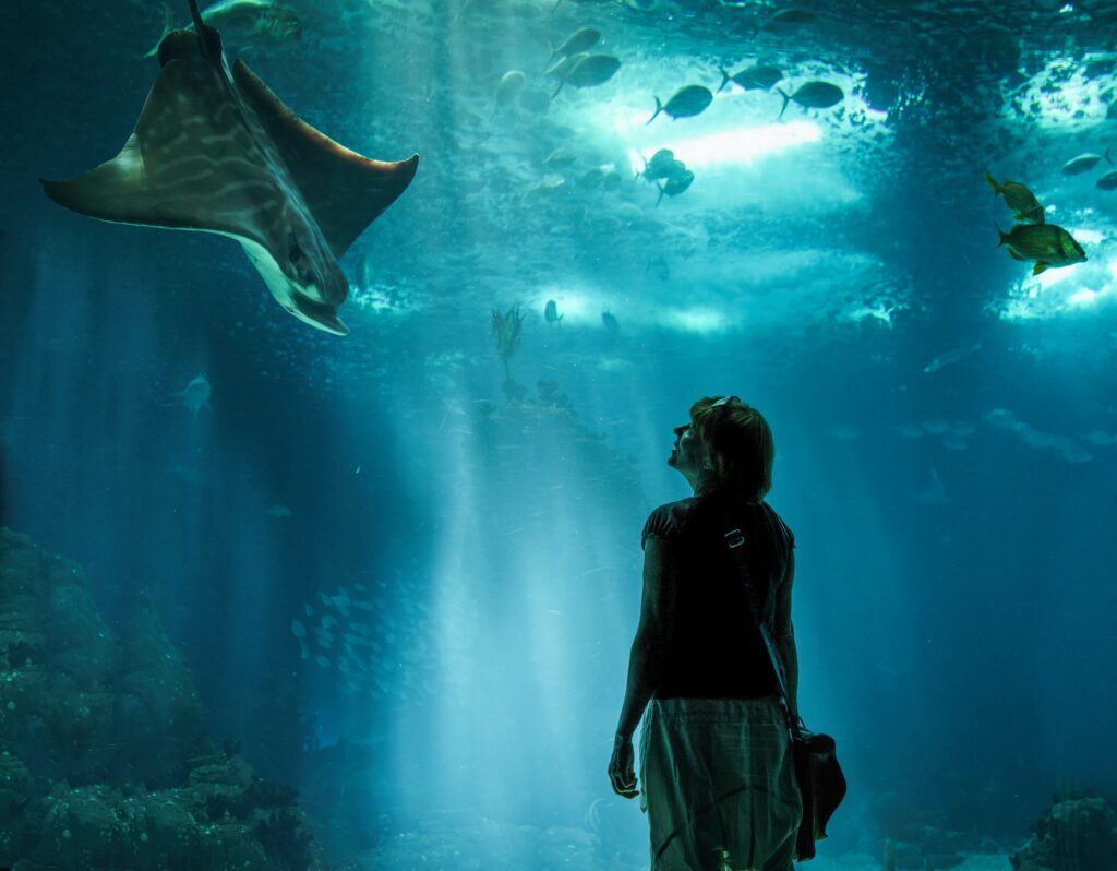 Woman at the aquarium