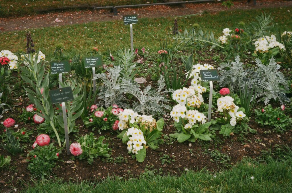 Start a garden