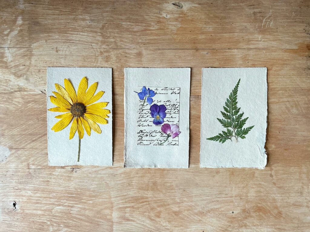 Press flowers