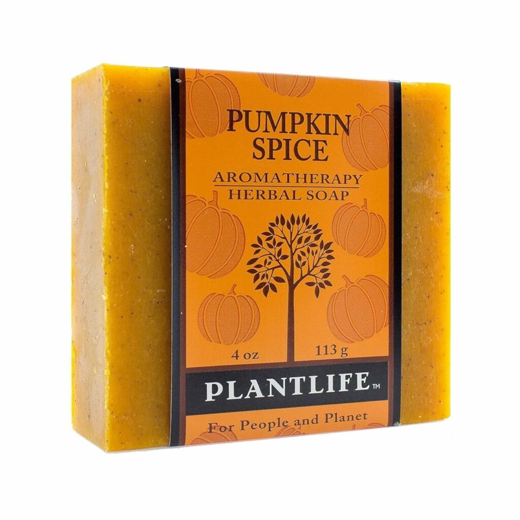 Pumpkin Spice Bar Soap
