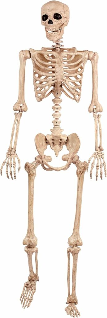 Crazy Bonez Original Pose-N-Stay Halloween Skeleton