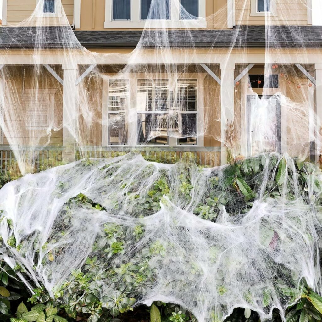 1000 Sqft Spider Webs