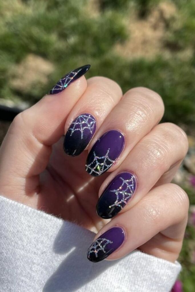 Spider Webs
