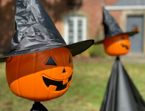 Amazon Halloween Decorations for a Spectacular Spooky Season