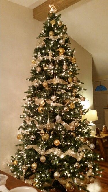Silver and Gold