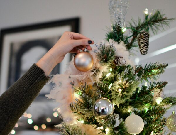 How to Decorate a Themed Christmas Tree Like a Professional