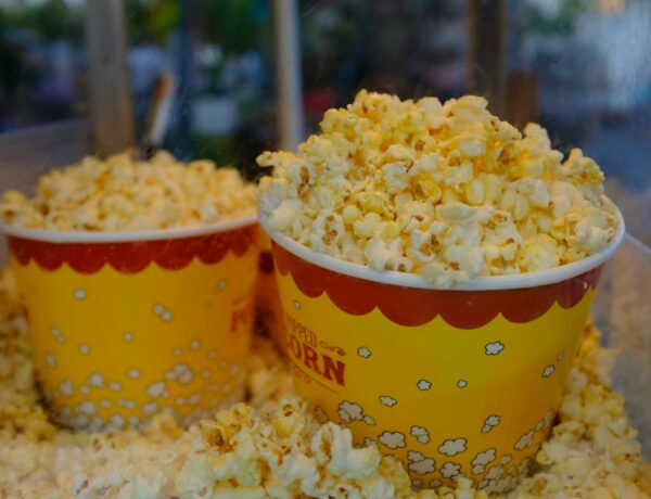 Exciting Winter 2026 Movies You Have to See