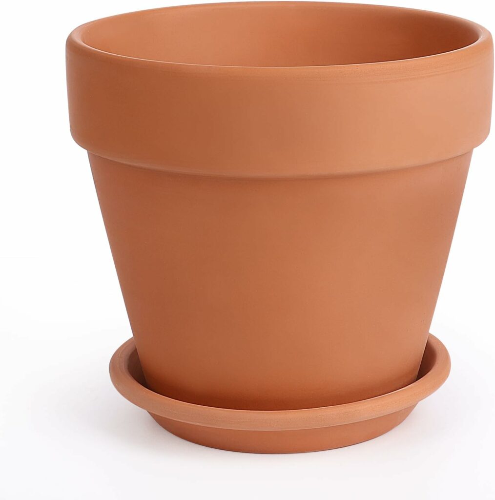 12 Inch Terracotta Pot with Saucer
