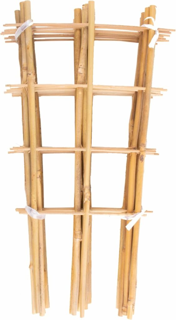 10 Pack Bamboo Trellis