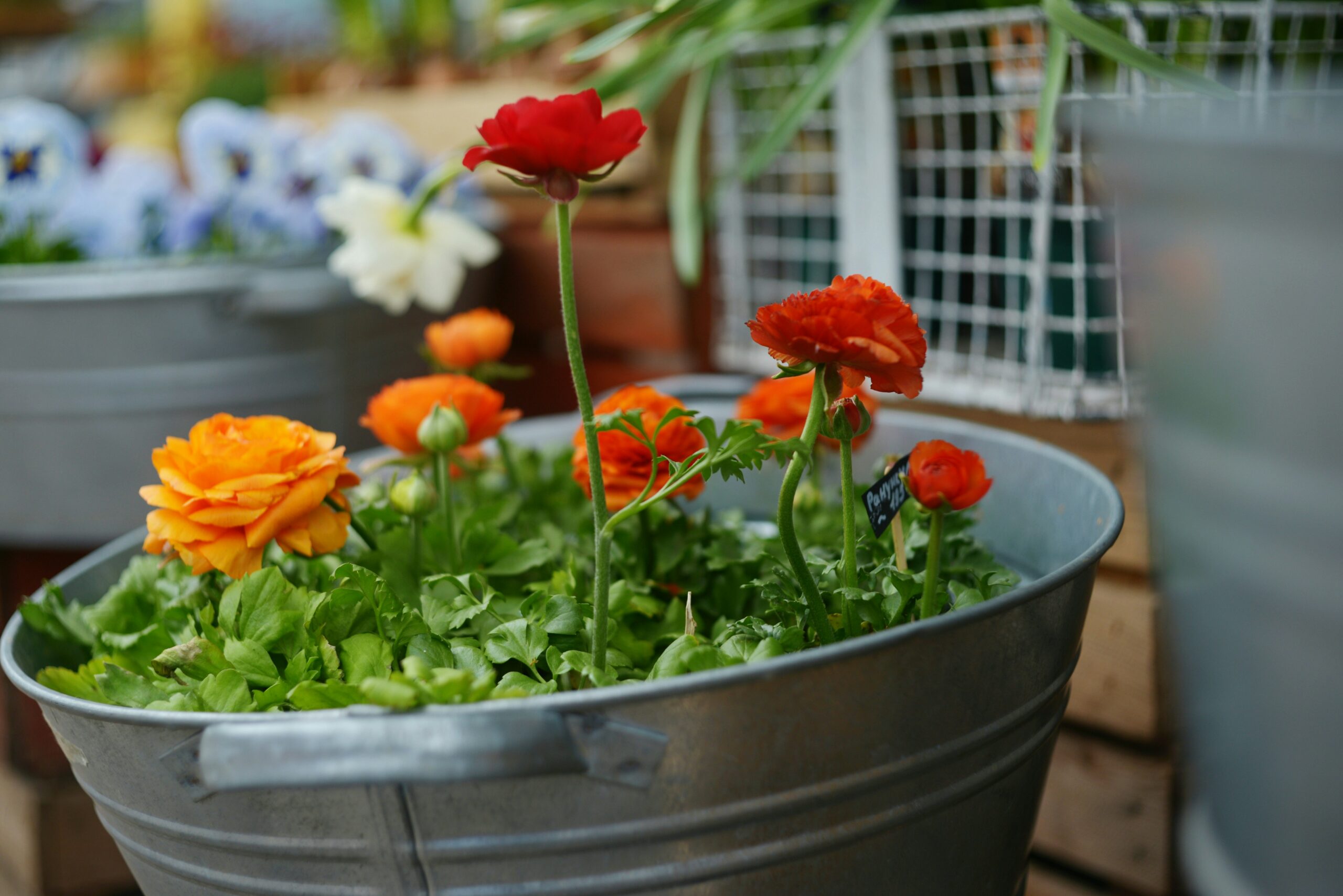 Amazon Garden Decor to Elevate Your Yard