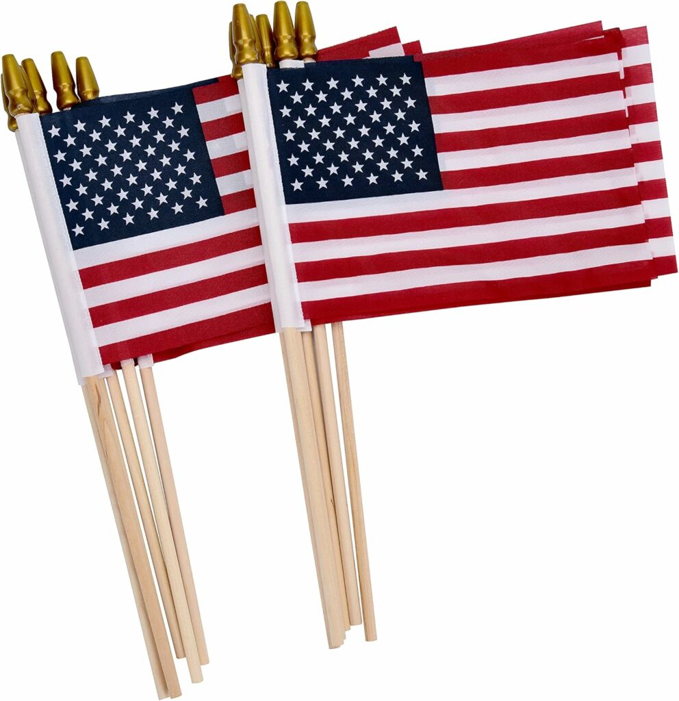 12 Pack Small American Flags