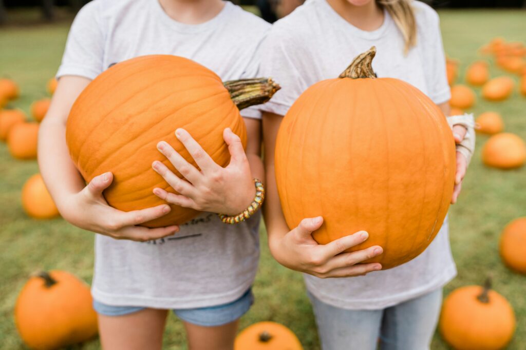 Create a fall bucket list